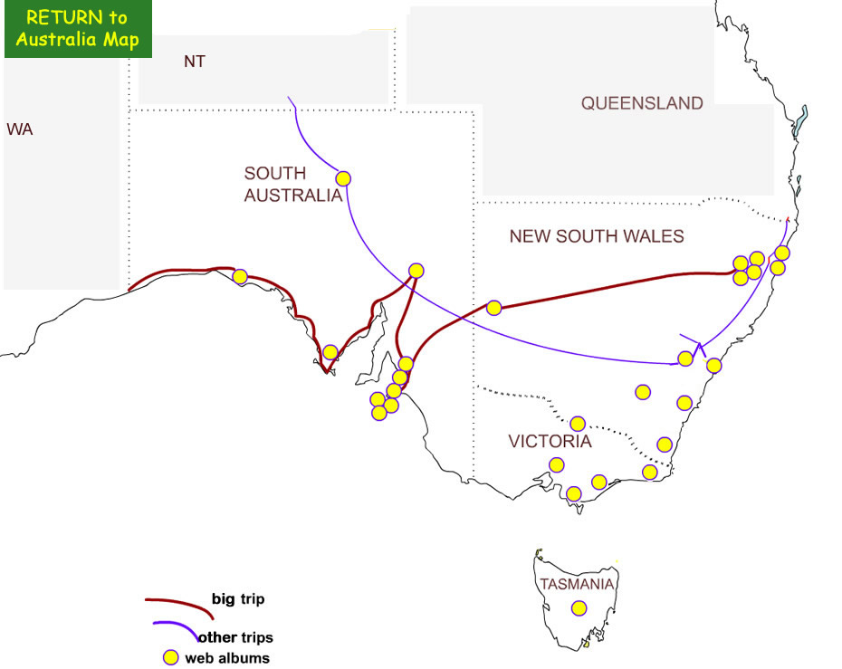 NSW, Victoria, SA and Tasmania Map